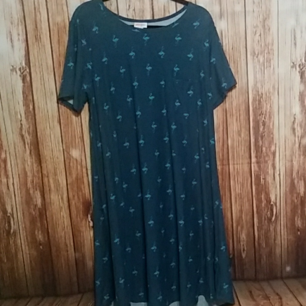 Lularoe Carly dress
